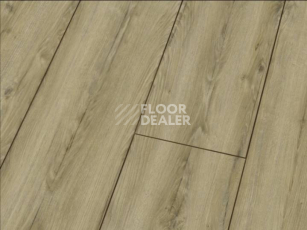 Ламинат Falquon Blue Line Wood 8mm D3545 WINZER OAK фото 1 | FLOORDEALER